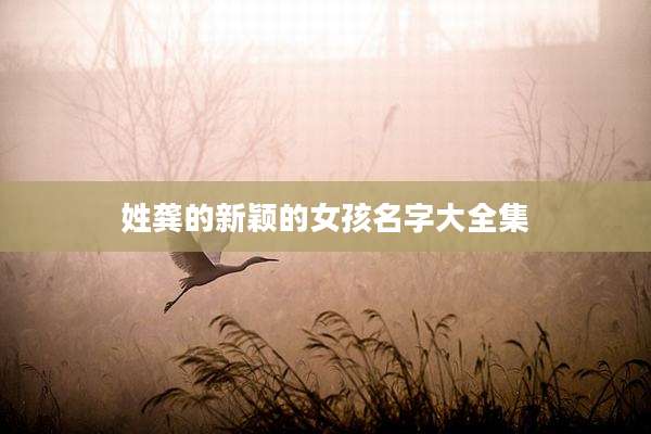 姓龚的新颖的女孩名字大全集
