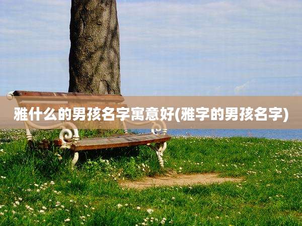 雅什么的男孩名字寓意好(雅字的男孩名字)