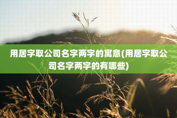 用居字取公司名字两字的寓意(用居字取公司名字两字的有哪些)