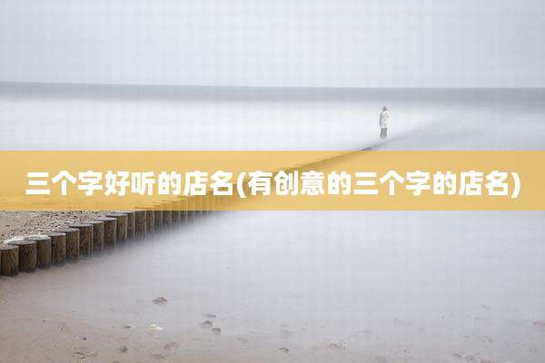 三个字好听的店名(有创意的三个字的店名)