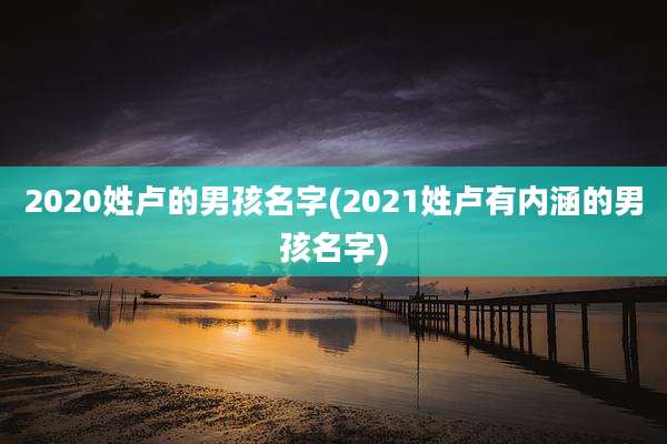 2020姓卢的男孩名字(2021姓卢有内涵的男孩名字)