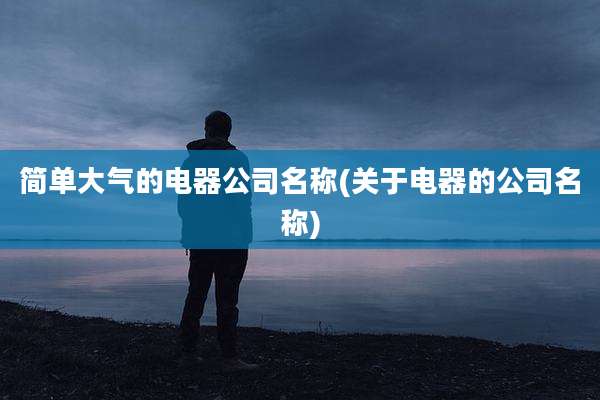 简单大气的电器公司名称(关于电器的公司名称)
