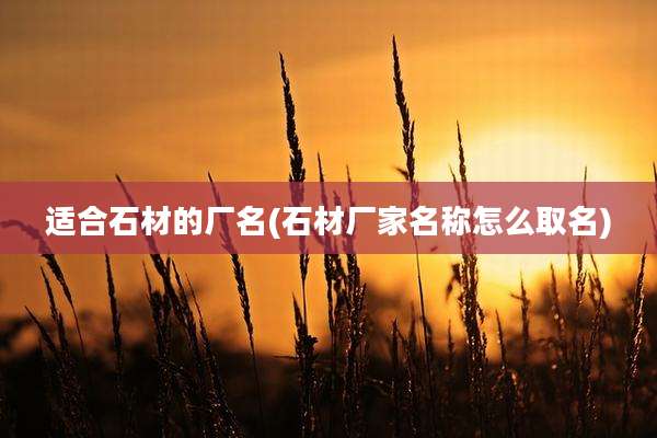 适合石材的厂名(石材厂家名称怎么取名)