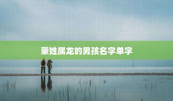 蒙姓属龙的男孩名字单字