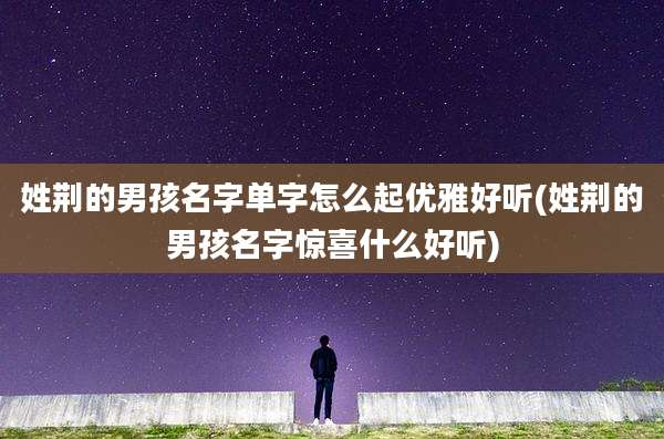 姓荆的男孩名字单字怎么起优雅好听(姓荆的男孩名字惊喜什么好听)