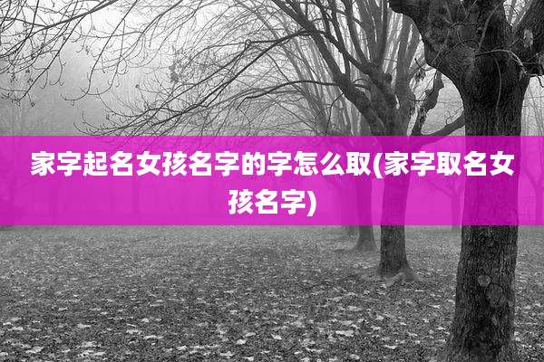 家字起名女孩名字的字怎么取(家字取名女孩名字)