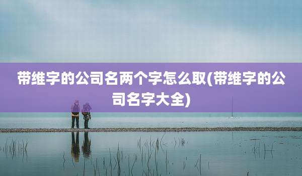 带维字的公司名两个字怎么取(带维字的公司名字大全)