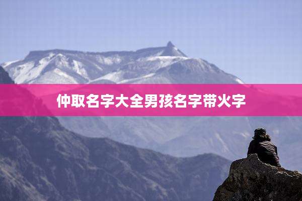 仲取名字大全男孩名字带火字