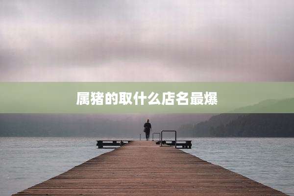 属猪的取什么店名最爆