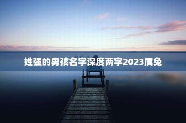 姓强的男孩名字深度两字2023属兔