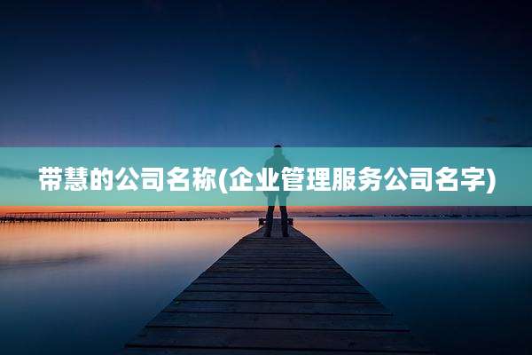 带慧的公司名称(企业管理服务公司名字)