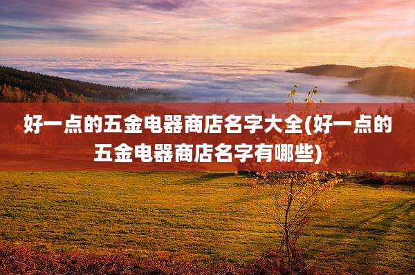 好一点的五金电器商店名字大全(好一点的五金电器商店名字有哪些)