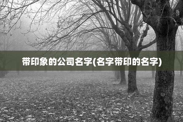 带印象的公司名字(名字带印的名字)