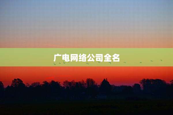 广电网络公司全名