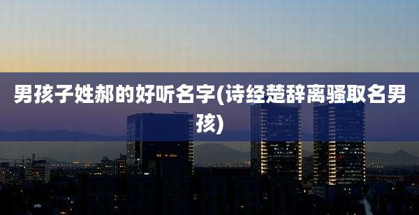 男孩子姓郝的好听名字(诗经楚辞离骚取名男孩)