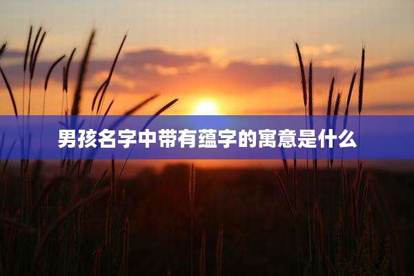 男孩名字中带有蕴字的寓意是什么