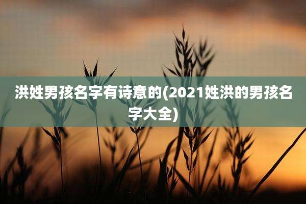 洪姓男孩名字有诗意的(2021姓洪的男孩名字大全)