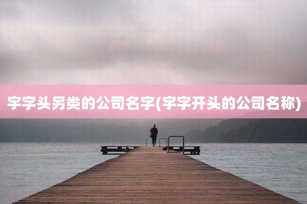 宇字头另类的公司名字(宇字开头的公司名称)