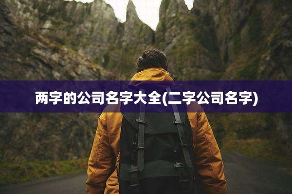 两字的公司名字大全(二字公司名字)