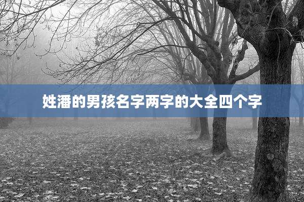 姓潘的男孩名字两字的大全四个字
