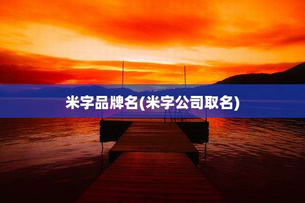 米字品牌名(米字公司取名)