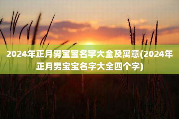 2024年正月男宝宝名字大全及寓意(2024年正月男宝宝名字大全四个字)