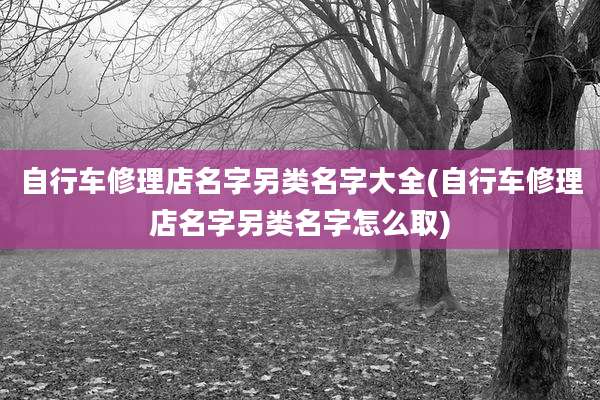自行车修理店名字另类名字大全(自行车修理店名字另类名字怎么取)