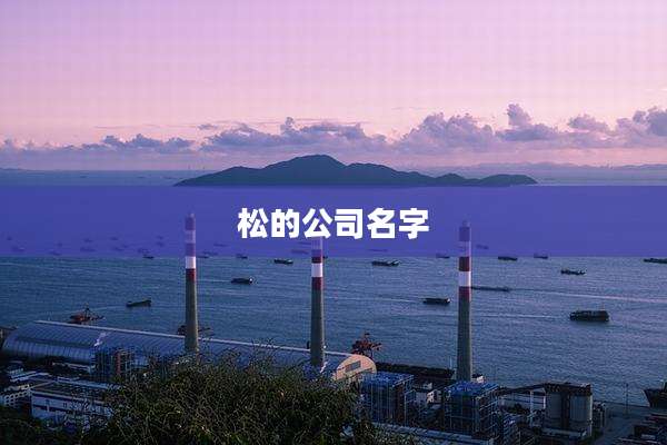 松的公司名字