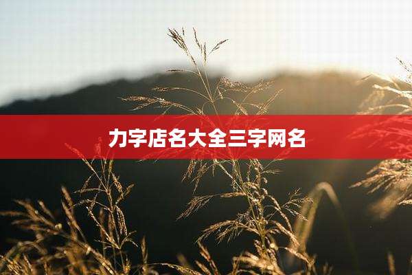 力字店名大全三字网名