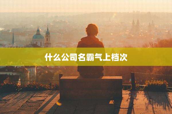 什么公司名霸气上档次