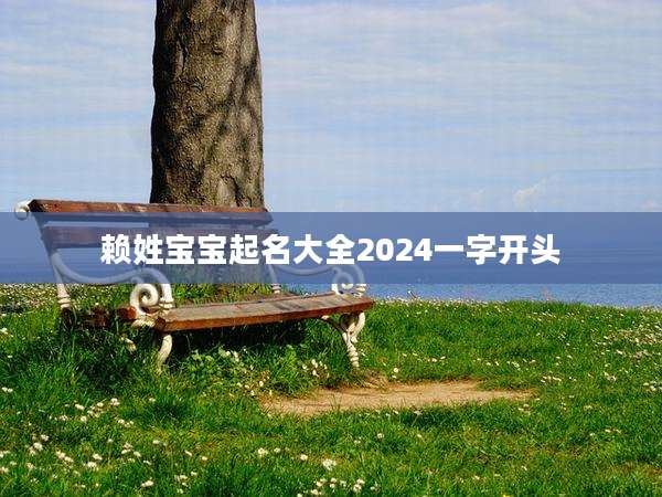 赖姓宝宝起名大全2024一字开头