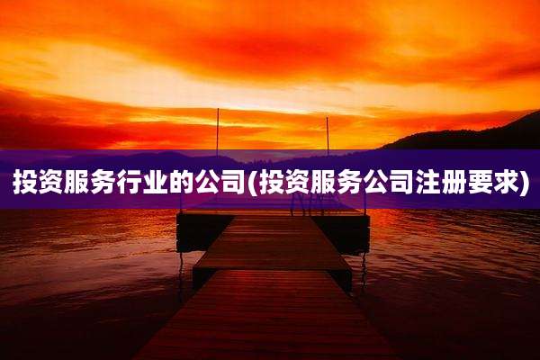 投资服务行业的公司(投资服务公司注册要求)
