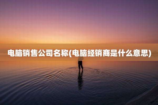 电脑销售公司名称(电脑经销商是什么意思)