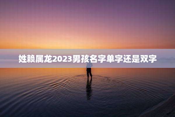 姓赖属龙2023男孩名字单字还是双字