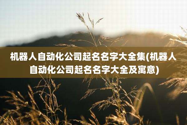 机器人自动化公司起名名字大全集(机器人自动化公司起名名字大全及寓意)