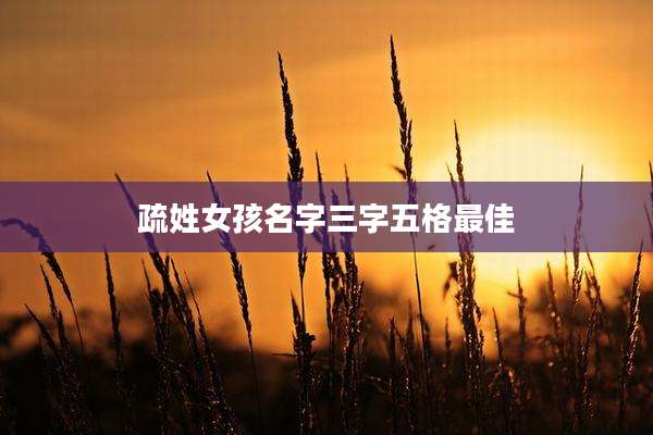 疏姓女孩名字三字五格最佳