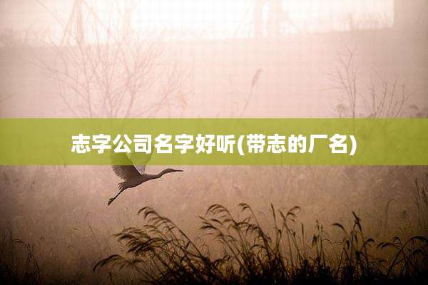 志字公司名字好听(带志的厂名)