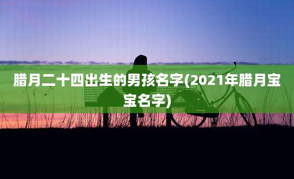 腊月二十四出生的男孩名字(2021年腊月宝宝名字)