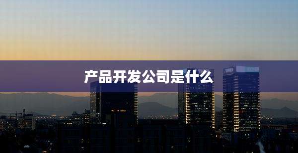 产品开发公司是什么
