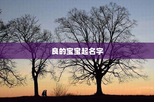 良的宝宝起名字