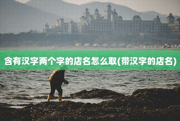含有汉字两个字的店名怎么取(带汉字的店名)