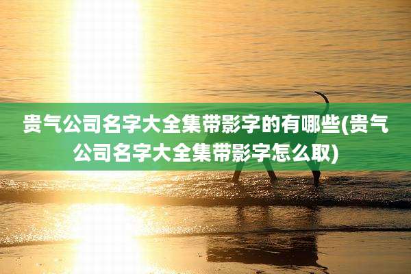 贵气公司名字大全集带影字的有哪些(贵气公司名字大全集带影字怎么取)