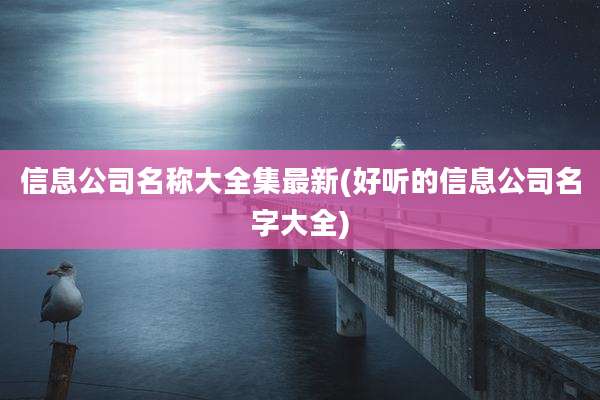 信息公司名称大全集最新(好听的信息公司名字大全)