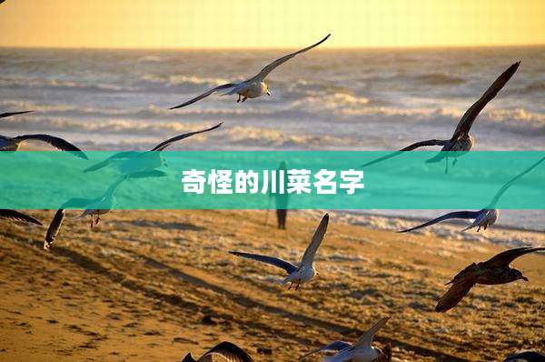 奇怪的川菜名字