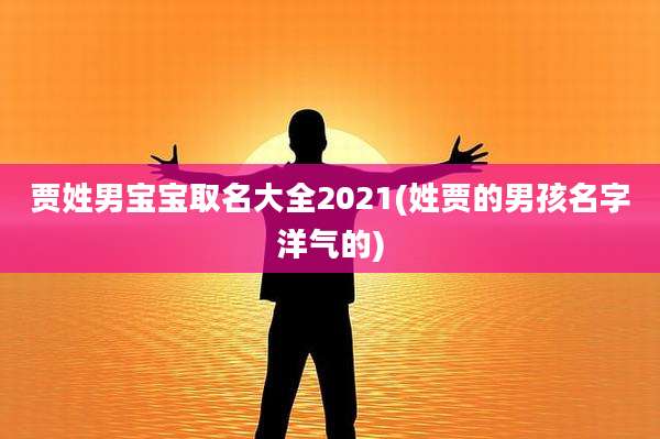 贾姓男宝宝取名大全2021(姓贾的男孩名字洋气的)