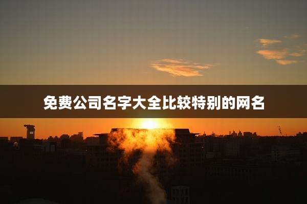 免费公司名字大全比较特别的网名