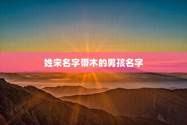 姓宋名字带木的男孩名字