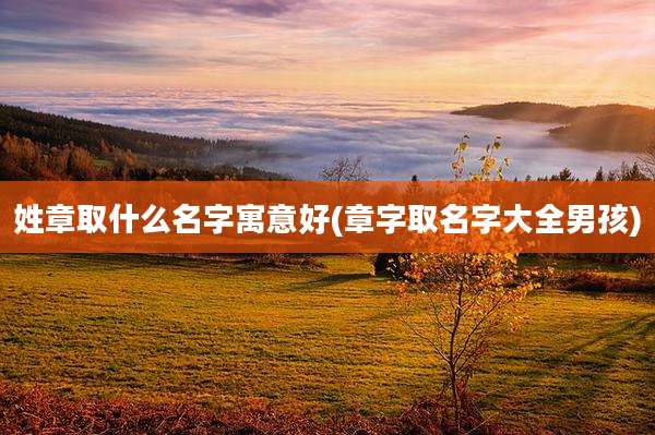 姓章取什么名字寓意好(章字取名字大全男孩)