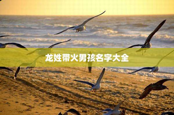 龙姓带火男孩名字大全