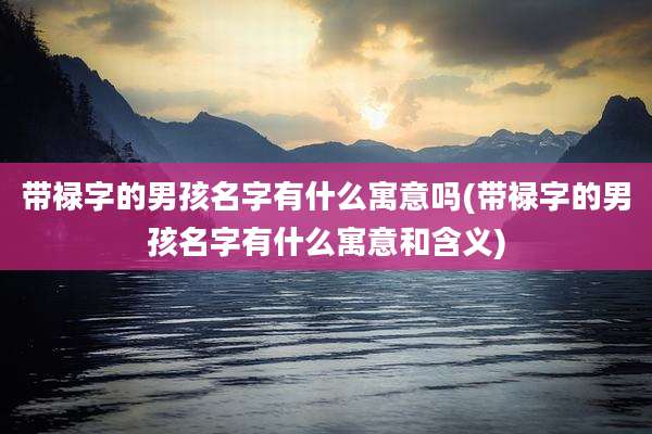 带禄字的男孩名字有什么寓意吗(带禄字的男孩名字有什么寓意和含义)